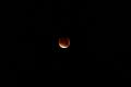 D_20150928-041416 IMG_0344